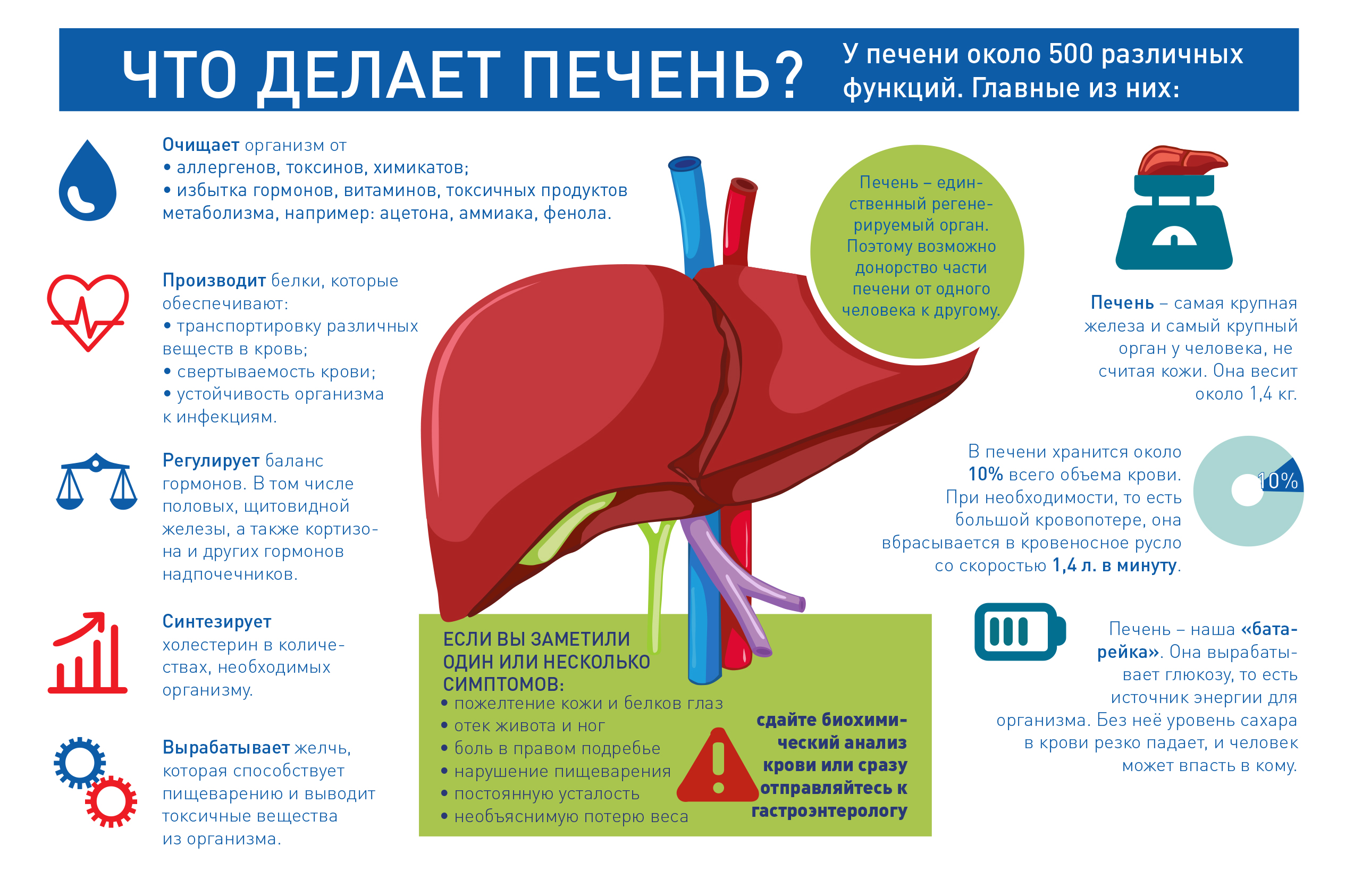 Orthomol Cholin plus — здоровая печень